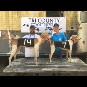 Meet your Posher, Jay